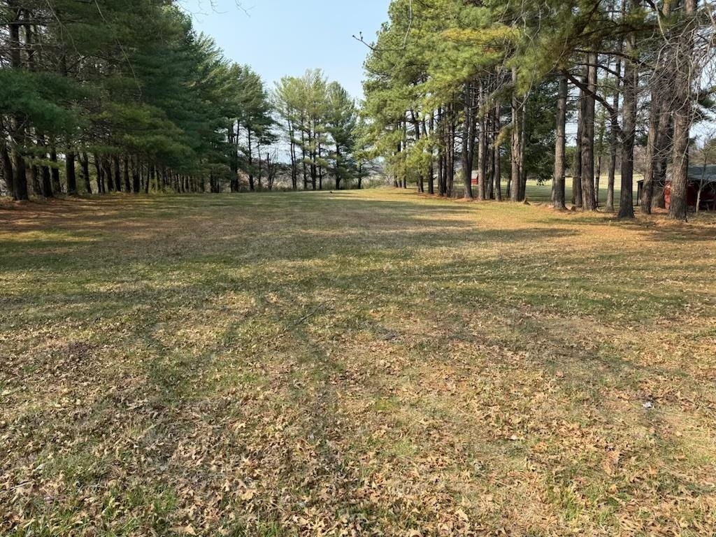 355 NATIONAL AVE, STAUNTON, Virginia 24401, ,Land,355 NATIONAL AVE,674321 MLS # 674321