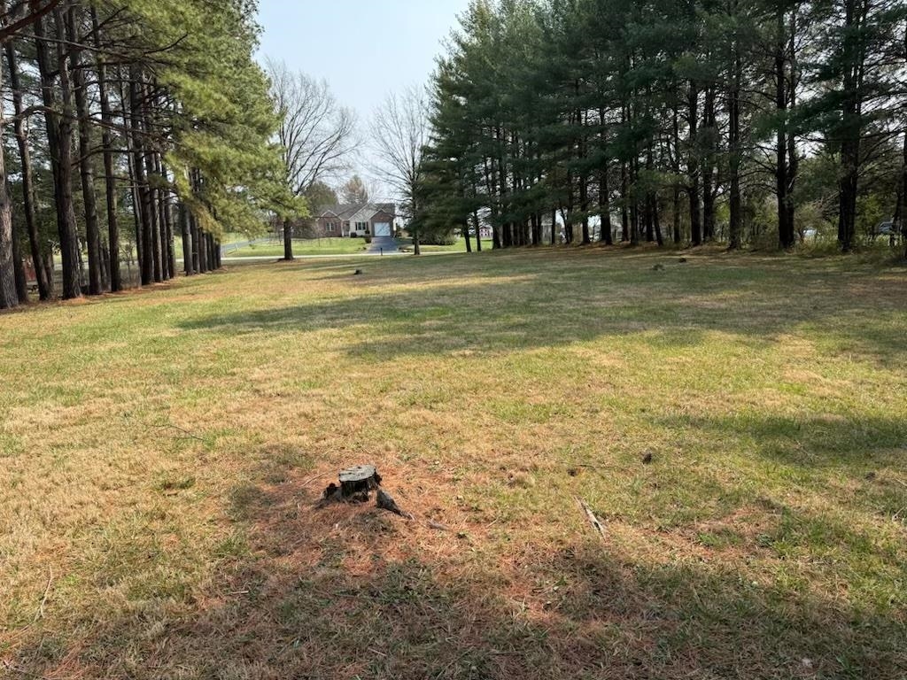 355 NATIONAL AVE, STAUNTON, Virginia 24401, ,Land,355 NATIONAL AVE,674321 MLS # 674321