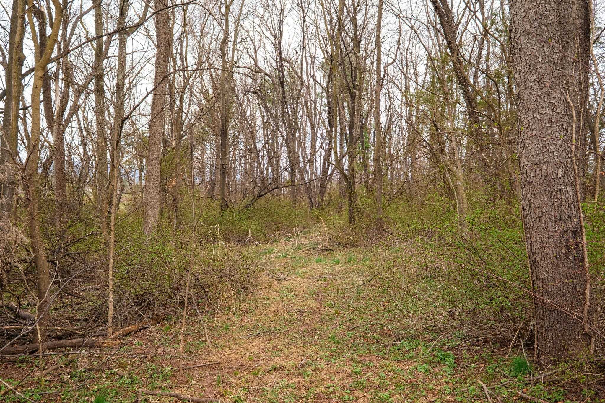 TBD KERNS RD, DAYTON, Virginia 22821, ,Land,TBD KERNS RD,674331 MLS # 674331