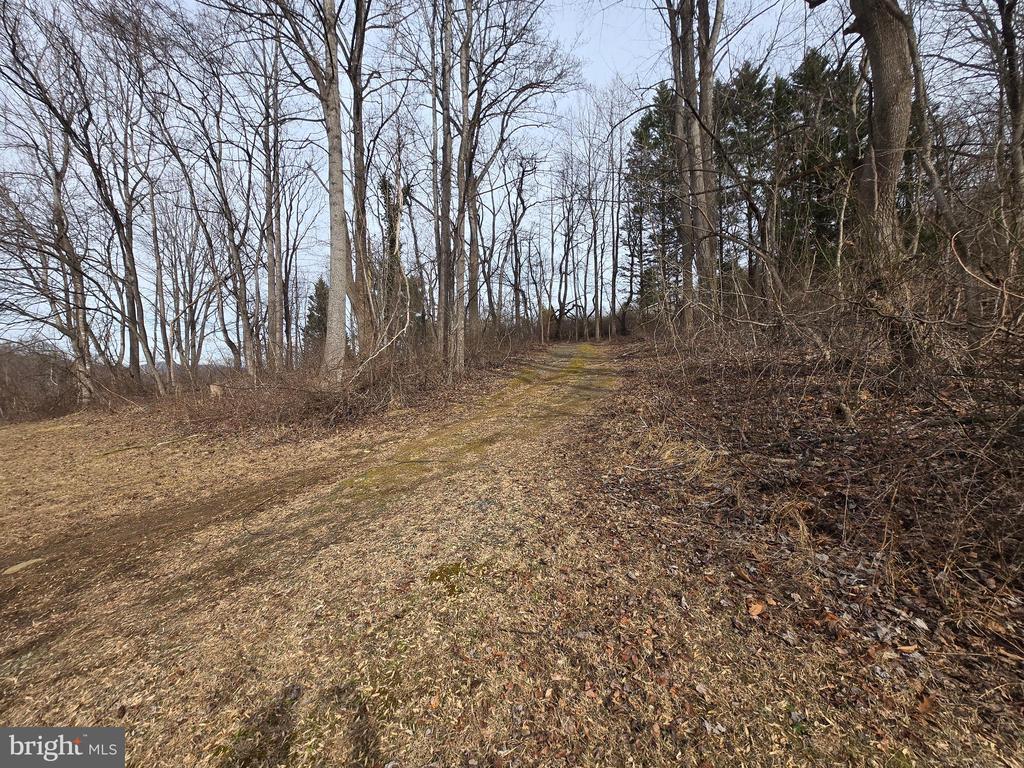 2996 ETLAN RD, ETLAN, Virginia 22719, 2 Bedrooms Bedrooms, ,2 BathroomsBathrooms,Residential,2996 ETLAN RD,VAMA2002610 MLS # VAMA2002610