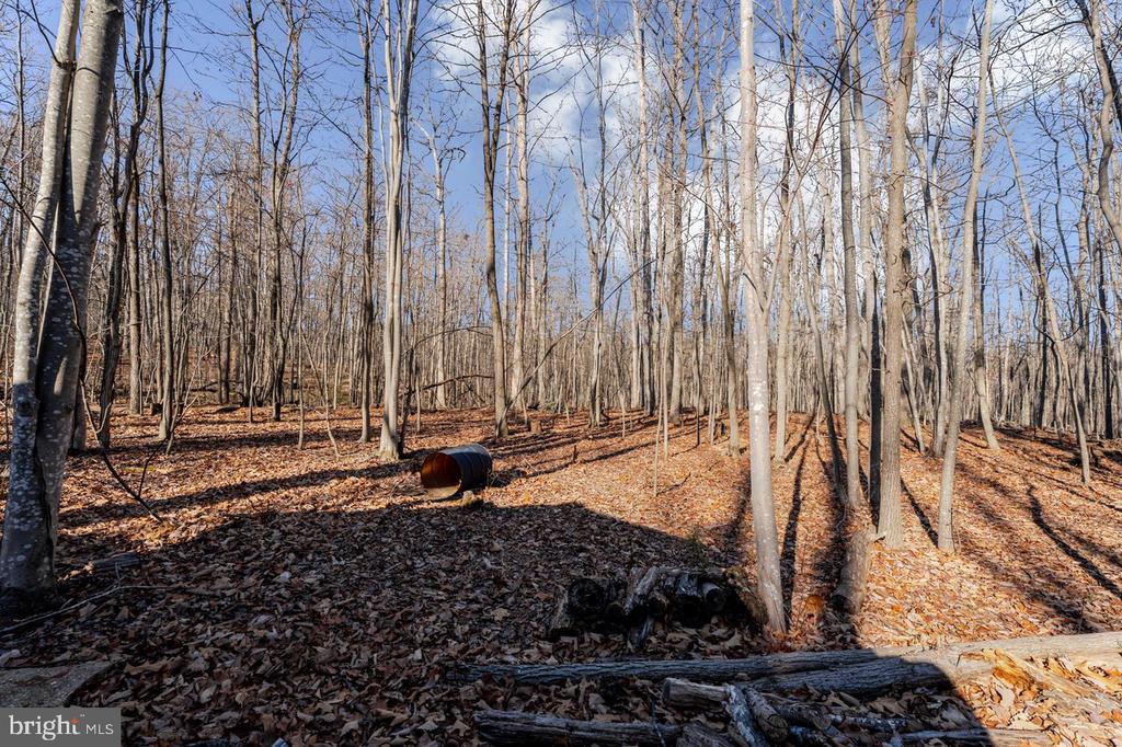 345 WILDWOOD LN, SHENANDOAH, Virginia 22849, 2 Bedrooms Bedrooms, ,1 BathroomBathrooms,Residential,345 WILDWOOD LN,VAPA2006140 MLS # VAPA2006140