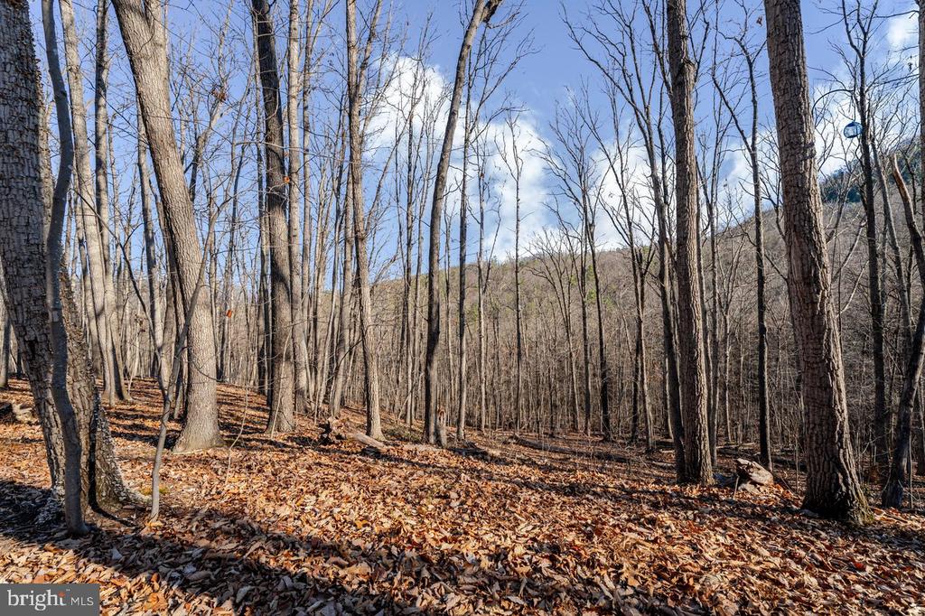 345 WILDWOOD LN, SHENANDOAH, Virginia 22849, 2 Bedrooms Bedrooms, ,1 BathroomBathrooms,Residential,345 WILDWOOD LN,VAPA2006140 MLS # VAPA2006140