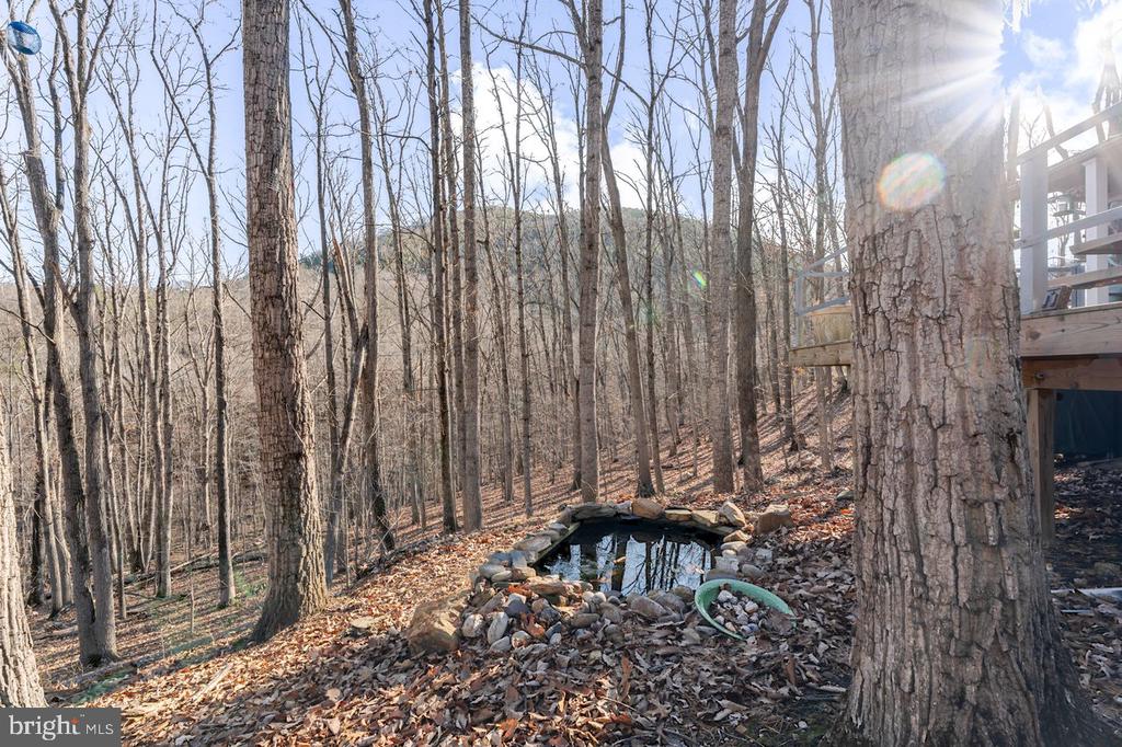 345 WILDWOOD LN, SHENANDOAH, Virginia 22849, 2 Bedrooms Bedrooms, ,1 BathroomBathrooms,Residential,345 WILDWOOD LN,VAPA2006140 MLS # VAPA2006140