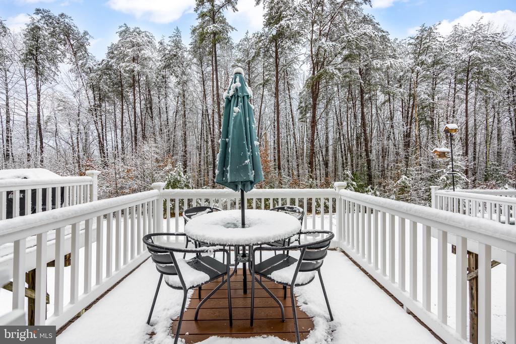 6516 CRITTENDEN LN, SPOTSYLVANIA, Virginia 22553, 3 Bedrooms Bedrooms, ,2 BathroomsBathrooms,Residential,6516 CRITTENDEN LN,VASP2039928 MLS # VASP2039928