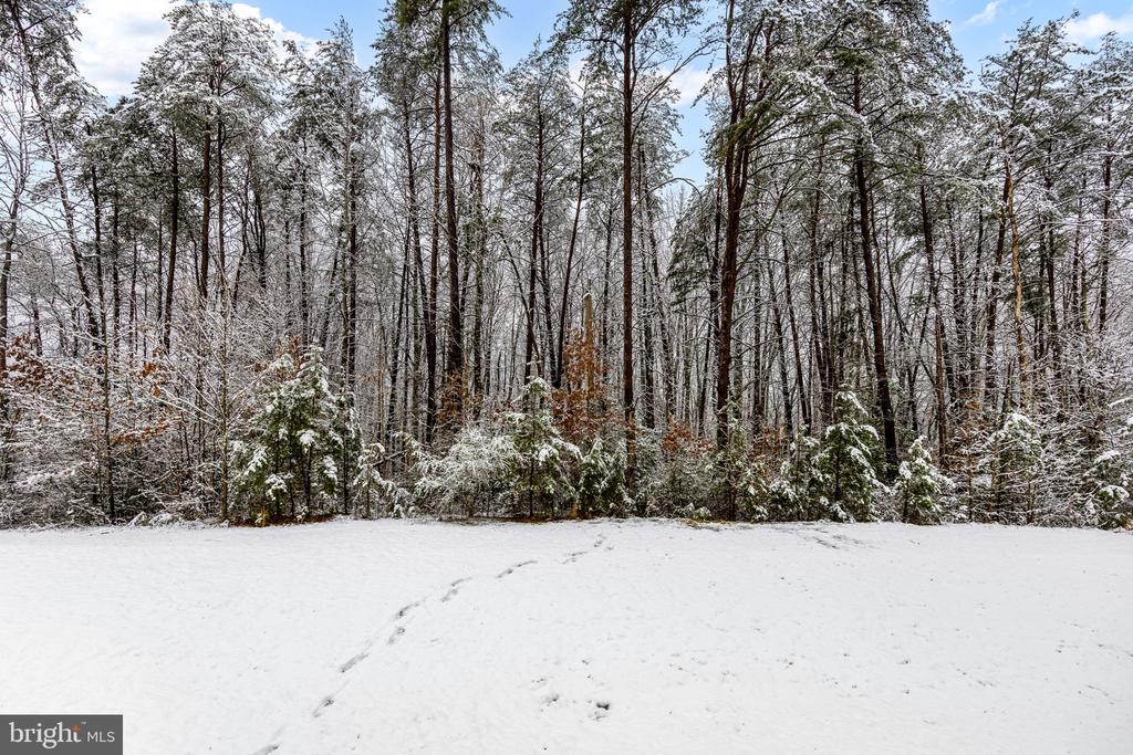 6516 CRITTENDEN LN, SPOTSYLVANIA, Virginia 22553, 3 Bedrooms Bedrooms, ,2 BathroomsBathrooms,Residential,6516 CRITTENDEN LN,VASP2039928 MLS # VASP2039928