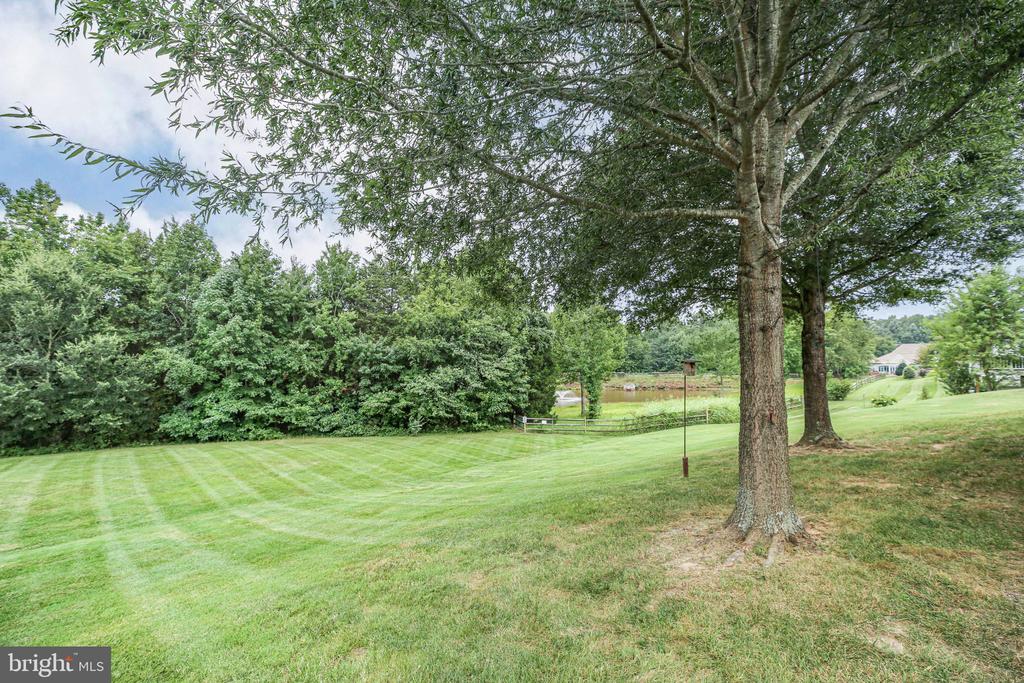 11921 LEGACY WOODS DR, FREDERICKSBURG, Virginia 22407, 3 Bedrooms Bedrooms, ,2 BathroomsBathrooms,Residential,11921 LEGACY WOODS DR,VASP2040018 MLS # VASP2040018