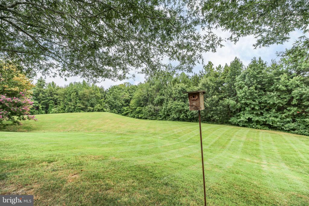 11921 LEGACY WOODS DR, FREDERICKSBURG, Virginia 22407, 3 Bedrooms Bedrooms, ,2 BathroomsBathrooms,Residential,11921 LEGACY WOODS DR,VASP2040018 MLS # VASP2040018