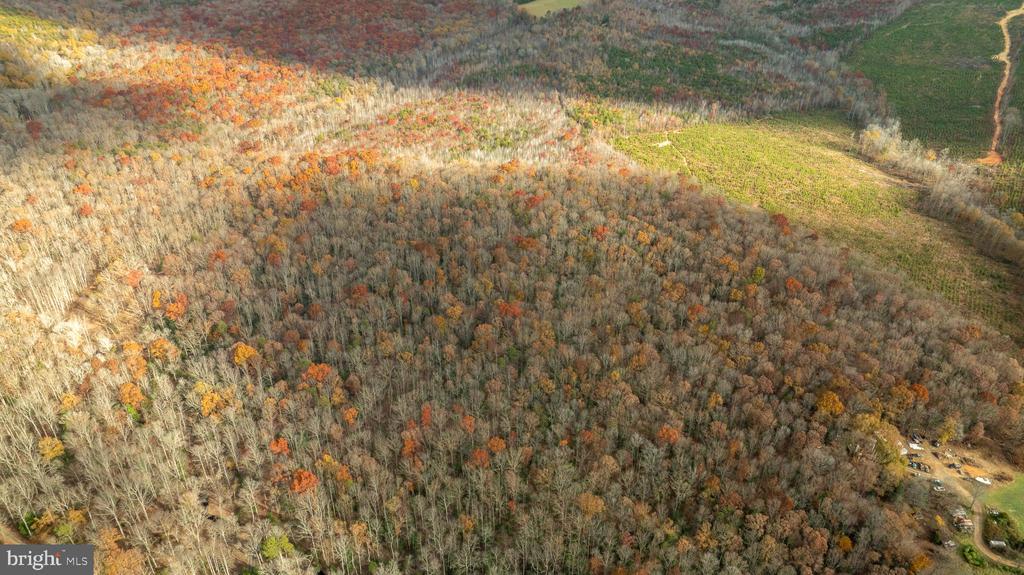 14100 CEDAR PLANTATION RD, SPOTSYLVANIA, Virginia 22551, ,Land,14100 CEDAR PLANTATION RD,VASP2037550 MLS # VASP2037550