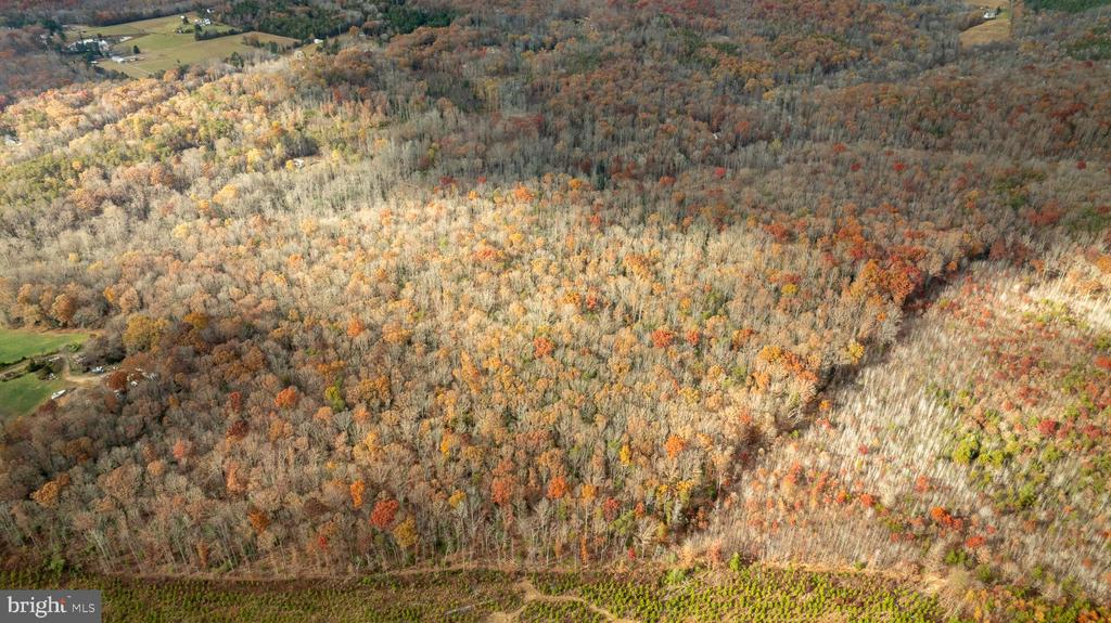 14100 CEDAR PLANTATION RD, SPOTSYLVANIA, Virginia 22551, ,Land,14100 CEDAR PLANTATION RD,VASP2037550 MLS # VASP2037550