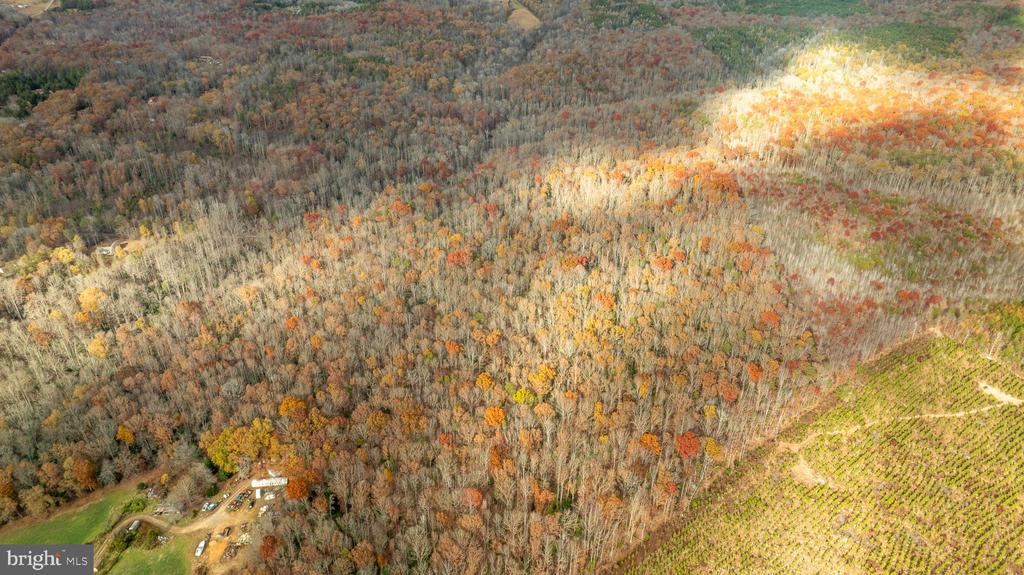 14100 CEDAR PLANTATION RD, SPOTSYLVANIA, Virginia 22551, ,Land,14100 CEDAR PLANTATION RD,VASP2037550 MLS # VASP2037550