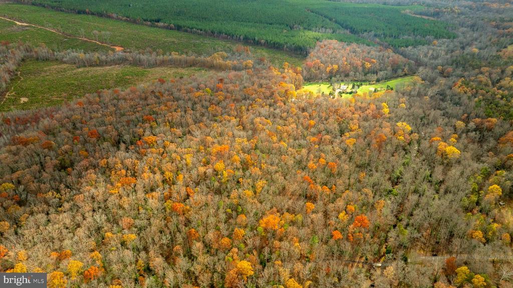 14100 CEDAR PLANTATION RD, SPOTSYLVANIA, Virginia 22551, ,Land,14100 CEDAR PLANTATION RD,VASP2037550 MLS # VASP2037550