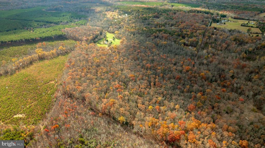 14100 CEDAR PLANTATION RD, SPOTSYLVANIA, Virginia 22551, ,Land,14100 CEDAR PLANTATION RD,VASP2037550 MLS # VASP2037550