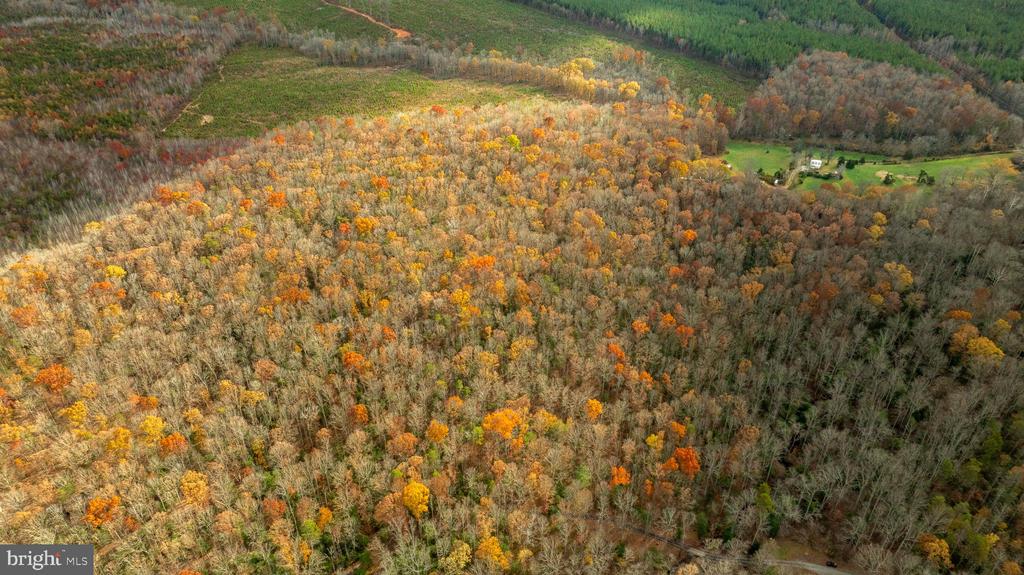 14100 CEDAR PLANTATION RD, SPOTSYLVANIA, Virginia 22551, ,Land,14100 CEDAR PLANTATION RD,VASP2037550 MLS # VASP2037550