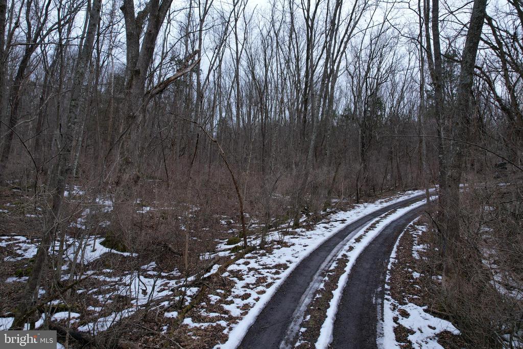 480 BEYLORS FERRY RD, RILEYVILLE, Virginia 22650, ,Land,480 BEYLORS FERRY RD,VAPA2006184 MLS # VAPA2006184