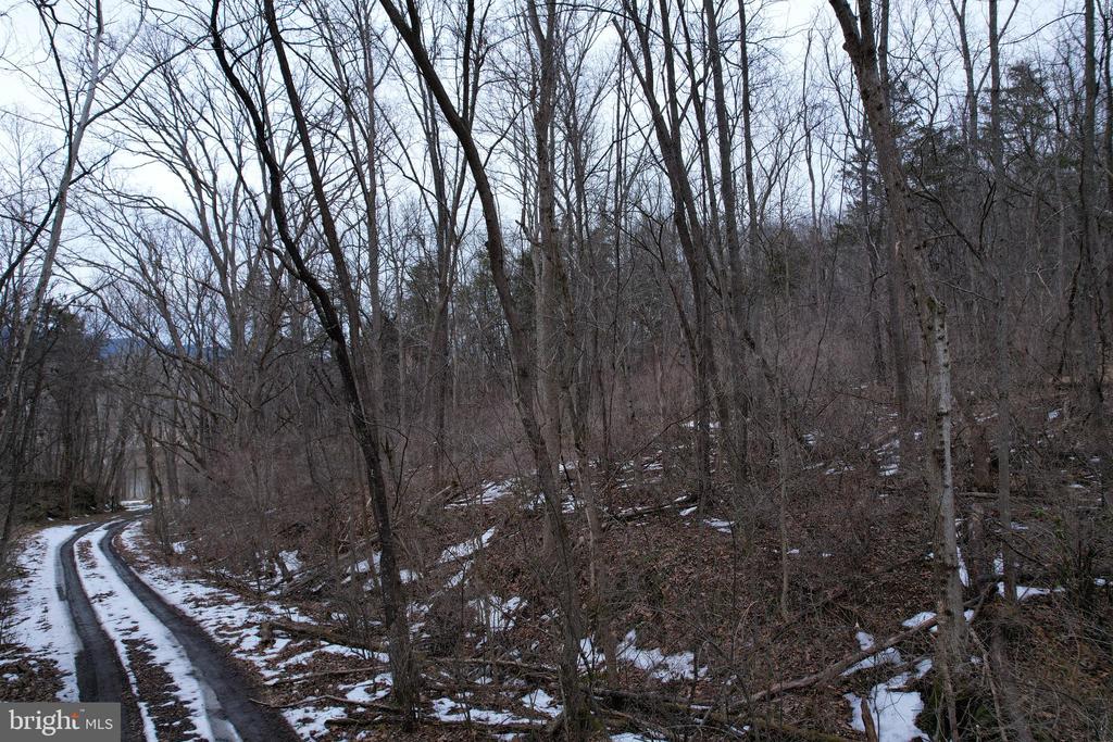 480 BEYLORS FERRY RD, RILEYVILLE, Virginia 22650, ,Land,480 BEYLORS FERRY RD,VAPA2006184 MLS # VAPA2006184