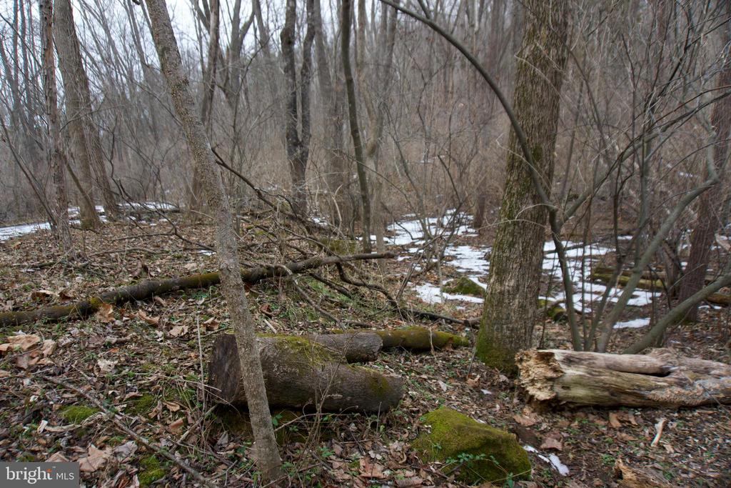 480 BEYLORS FERRY RD, RILEYVILLE, Virginia 22650, ,Land,480 BEYLORS FERRY RD,VAPA2006184 MLS # VAPA2006184