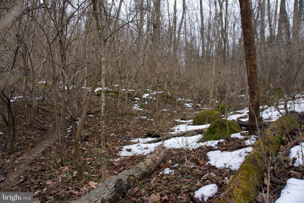 480 BEYLORS FERRY RD, RILEYVILLE, Virginia 22650, ,Land,480 BEYLORS FERRY RD,VAPA2006184 MLS # VAPA2006184