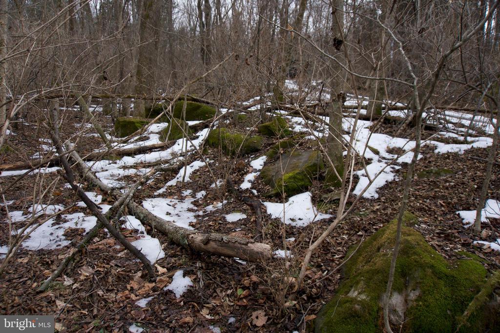 480 BEYLORS FERRY RD, RILEYVILLE, Virginia 22650, ,Land,480 BEYLORS FERRY RD,VAPA2006184 MLS # VAPA2006184