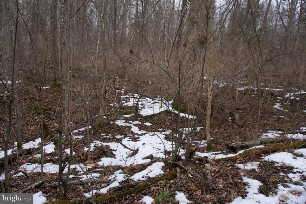 480 BEYLORS FERRY RD, RILEYVILLE, Virginia 22650, ,Land,480 BEYLORS FERRY RD,VAPA2006184 MLS # VAPA2006184