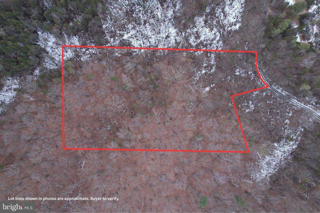 480 BEYLORS FERRY RD, RILEYVILLE, Virginia 22650, ,Land,480 BEYLORS FERRY RD,VAPA2006184 MLS # VAPA2006184