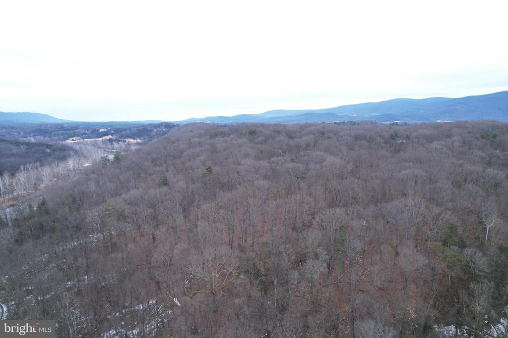 480 BEYLORS FERRY RD, RILEYVILLE, Virginia 22650, ,Land,480 BEYLORS FERRY RD,VAPA2006184 MLS # VAPA2006184