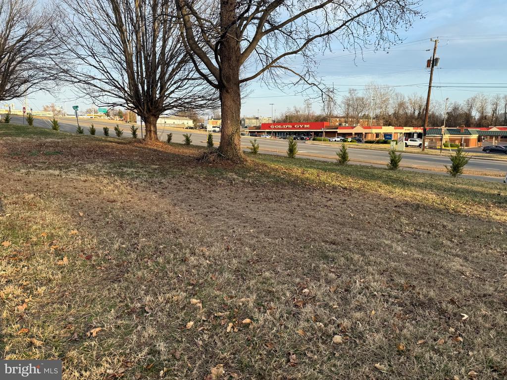 MADISON RD, CULPEPER, Virginia 22701, ,Land,MADISON RD,VACU2012948 MLS # VACU2012948