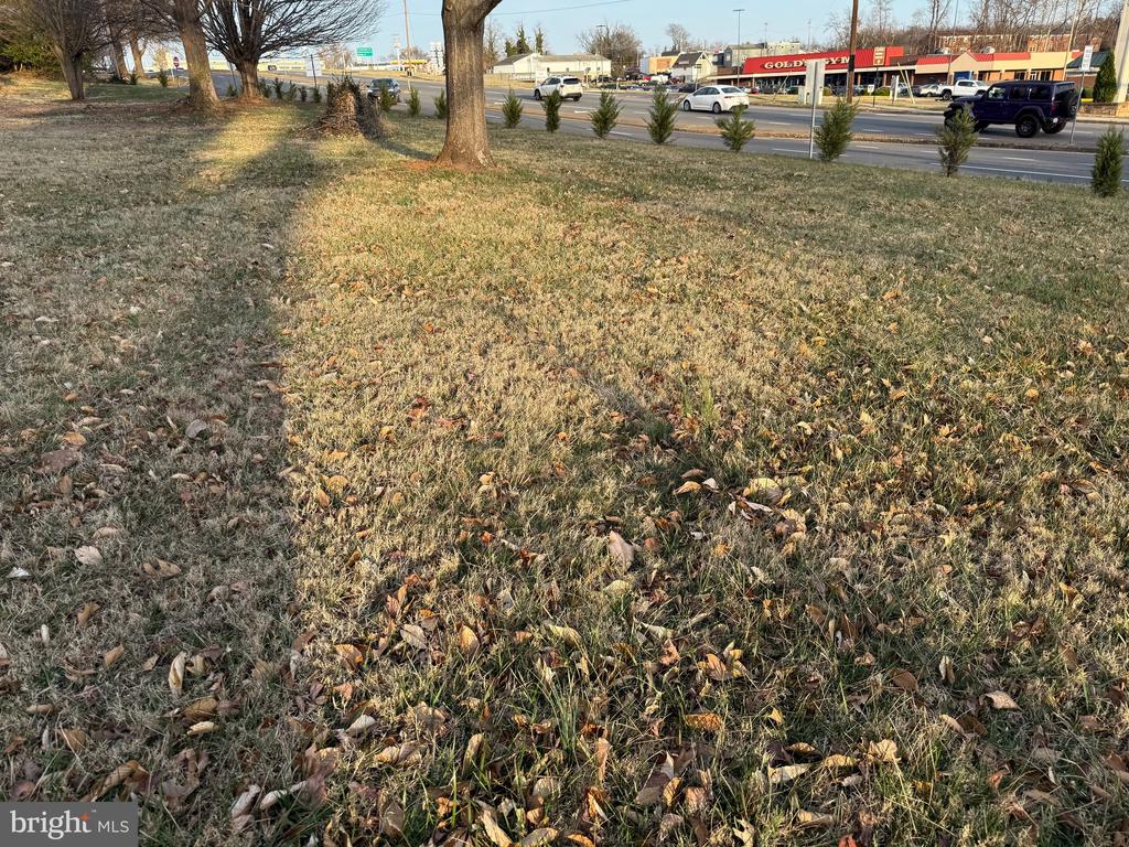 MADISON RD, CULPEPER, Virginia 22701, ,Land,MADISON RD,VACU2012948 MLS # VACU2012948