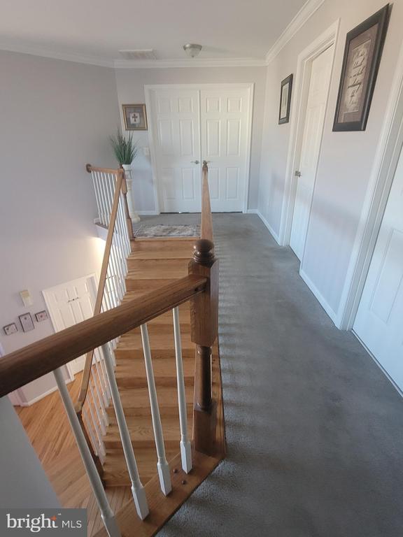 11358 WHIPKEY DR, BEALETON, Virginia, 4 Bedrooms Bedrooms, ,3 BathroomsBathrooms,Residential,11358 WHIPKEY DR,VAFQ2020050 MLS # VAFQ2020050 11358 WHIPKEY DR, BEALETON, Virginia, 4 Bedrooms Bedrooms, ,3 BathroomsBathrooms,Residential,11358 WHIPKEY DR,VAFQ2020050 MLS # VAFQ2020050