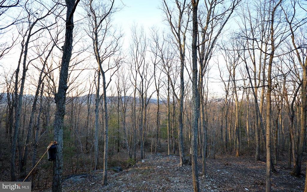 4562 QUAIL RUN DR, MARSHALL, Virginia, 3 Bedrooms Bedrooms, ,2 BathroomsBathrooms,Residential,4562 QUAIL RUN DR,VAFQ2020758 MLS # VAFQ2020758 4562 QUAIL RUN DR, MARSHALL, Virginia, 3 Bedrooms Bedrooms, ,2 BathroomsBathrooms,Residential,4562 QUAIL RUN DR,VAFQ2020758 MLS # VAFQ2020758