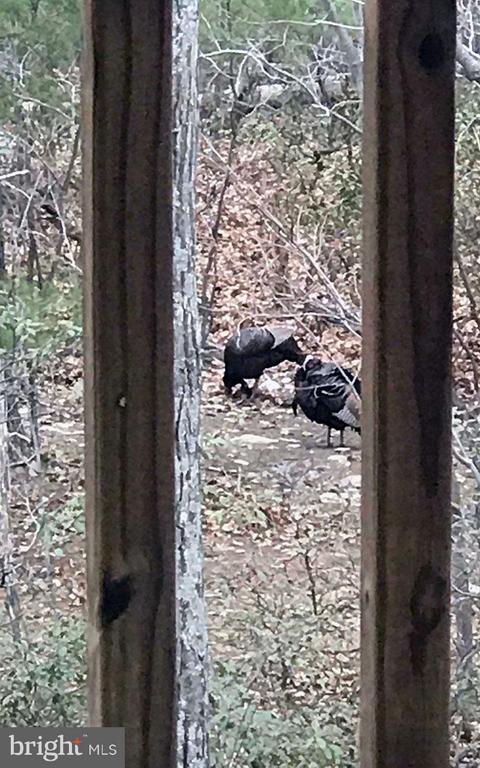 4562 QUAIL RUN DR, MARSHALL, Virginia, 3 Bedrooms Bedrooms, ,2 BathroomsBathrooms,Residential,4562 QUAIL RUN DR,VAFQ2020758 MLS # VAFQ2020758 4562 QUAIL RUN DR, MARSHALL, Virginia, 3 Bedrooms Bedrooms, ,2 BathroomsBathrooms,Residential,4562 QUAIL RUN DR,VAFQ2020758 MLS # VAFQ2020758