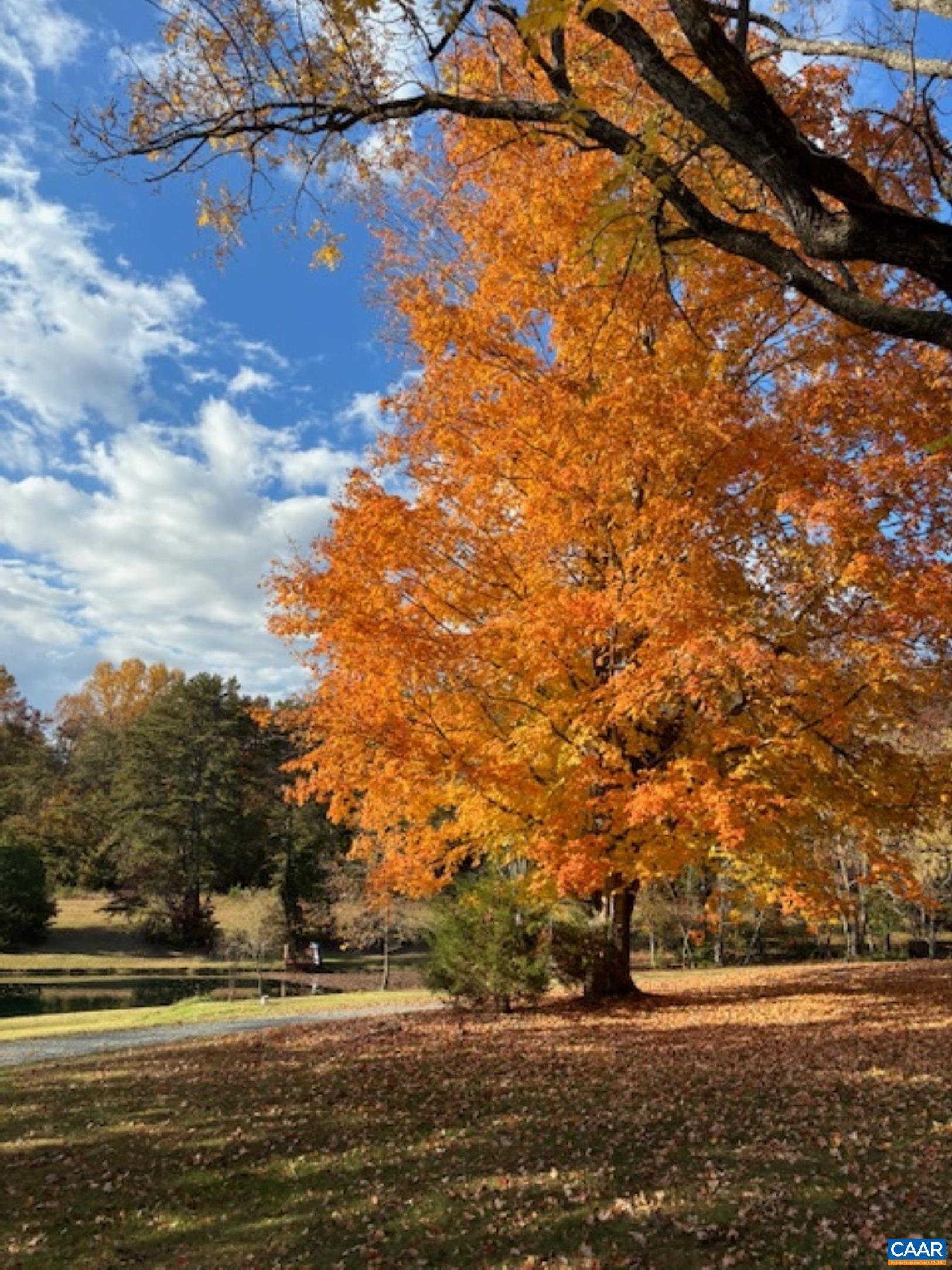 1128 BEAVERDAM RD, KESWICK, Virginia 22947, 5 Bedrooms Bedrooms, ,2 BathroomsBathrooms,Residential,Deerlodge,1128 BEAVERDAM RD,674077 MLS # 674077