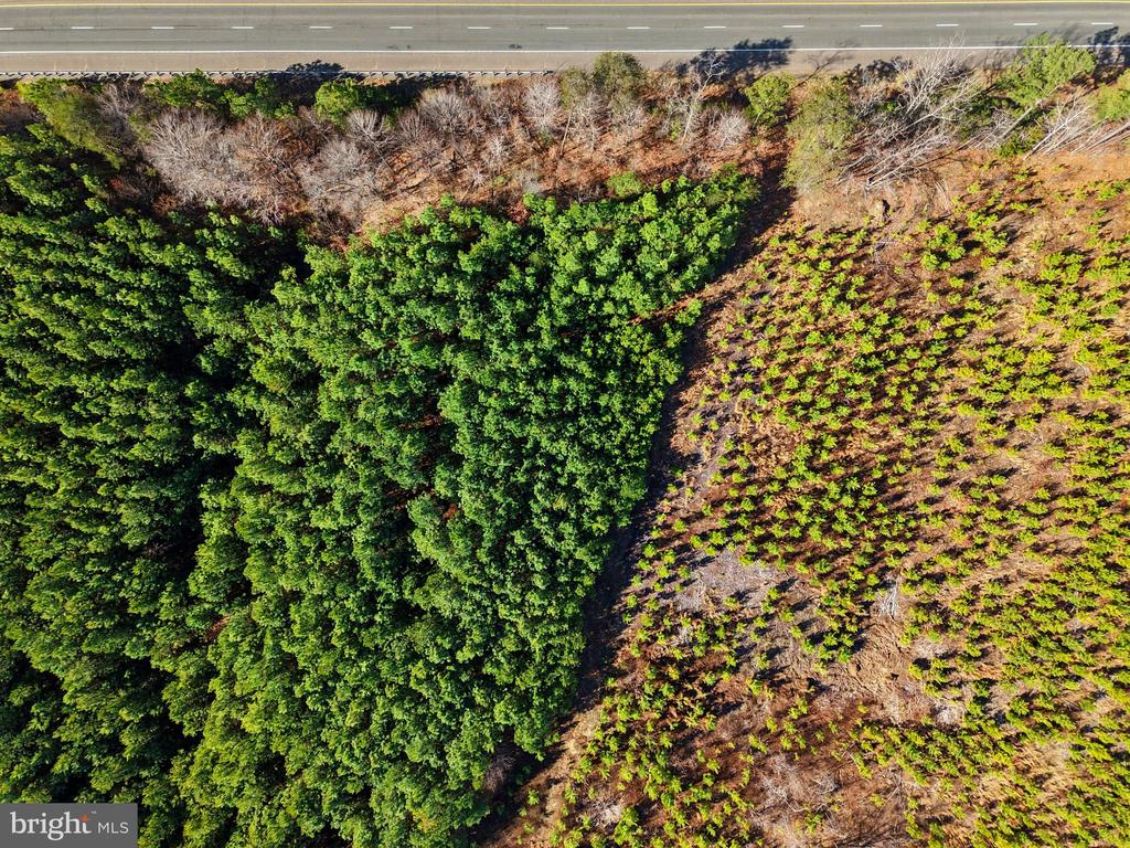 GERMANNA HWY, LIGNUM, Virginia 22726, ,Land,GERMANNA HWY,VACU2012966 MLS # VACU2012966