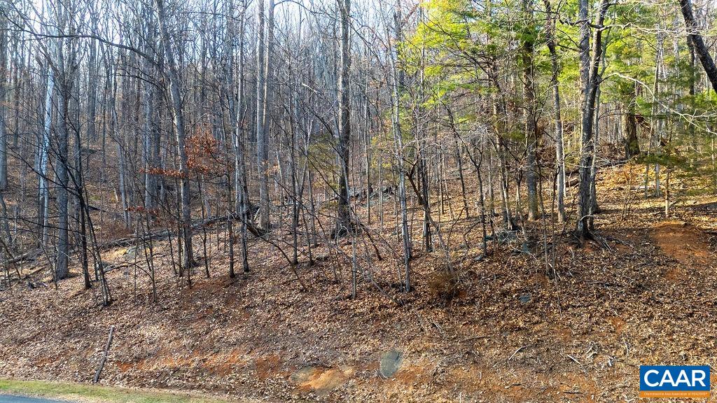Lot 28 STONE CHIMNEYS RD, NELLYSFORD, Virginia 22958, ,Land,Lot 28 STONE CHIMNEYS RD,674347 MLS # 674347