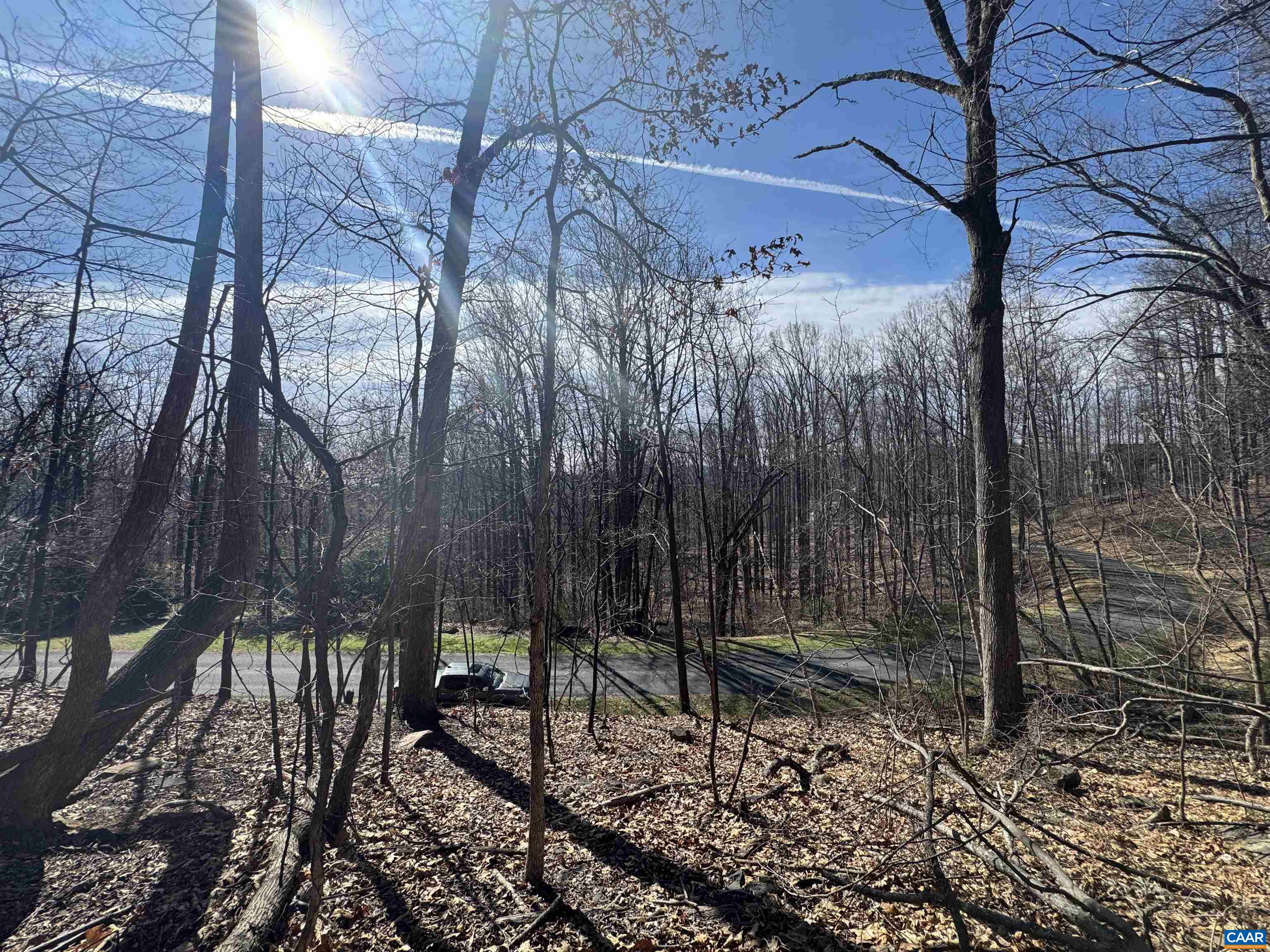 Lot 28 STONE CHIMNEYS RD, NELLYSFORD, Virginia 22958, ,Land,Lot 28 STONE CHIMNEYS RD,674347 MLS # 674347