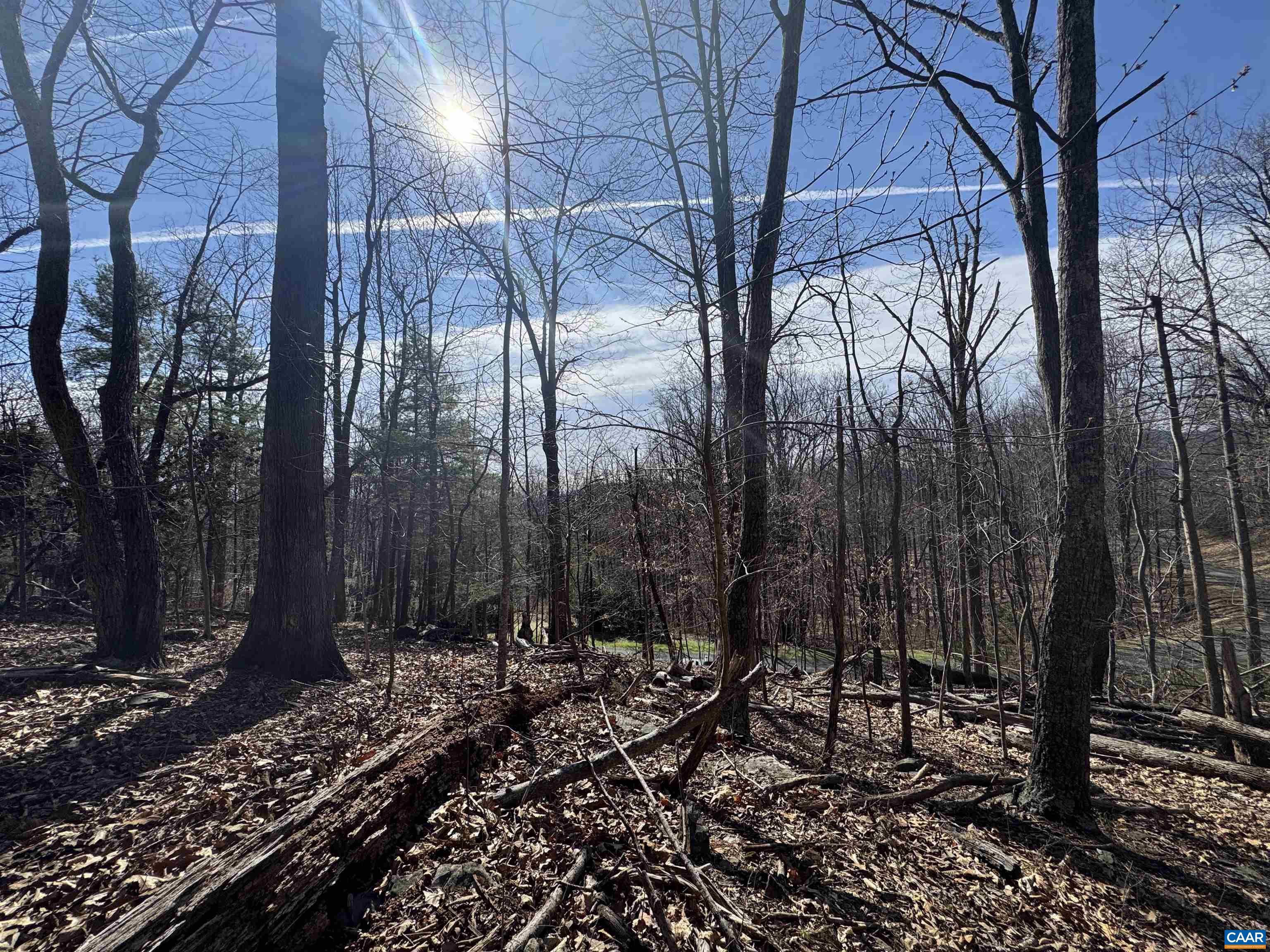 Lot 28 STONE CHIMNEYS RD, NELLYSFORD, Virginia 22958, ,Land,Lot 28 STONE CHIMNEYS RD,674347 MLS # 674347