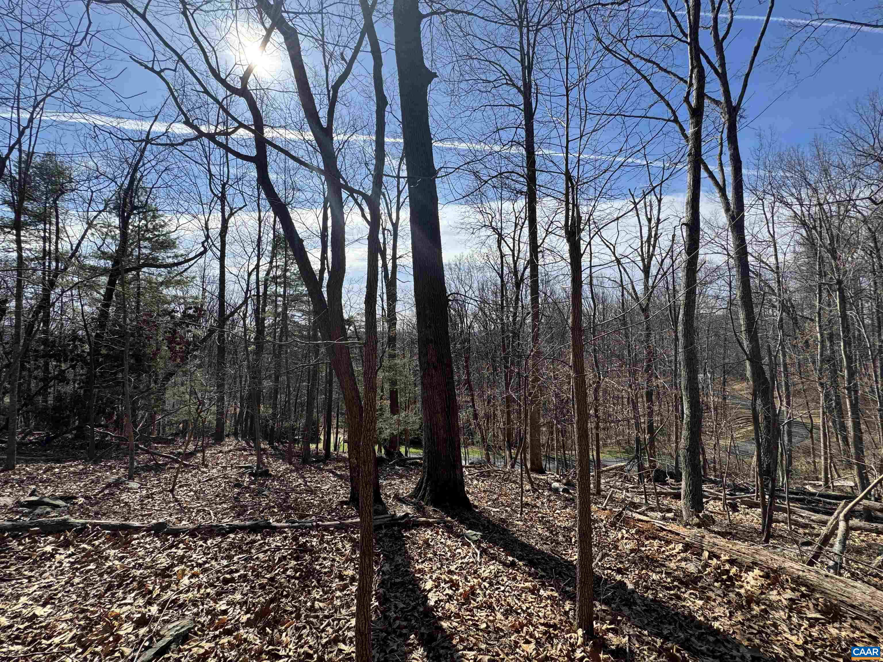 Lot 28 STONE CHIMNEYS RD, NELLYSFORD, Virginia 22958, ,Land,Lot 28 STONE CHIMNEYS RD,674347 MLS # 674347