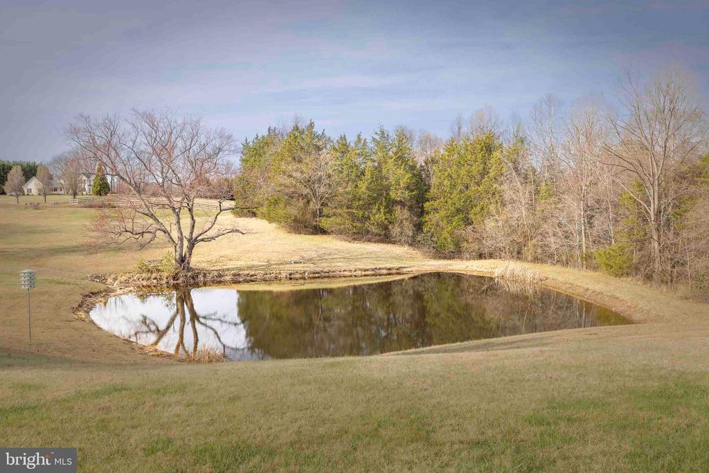 10497 BUCHANAN LN, CULPEPER, Virginia 22701, 4 Bedrooms Bedrooms, ,3 BathroomsBathrooms,Residential,10497 BUCHANAN LN,VACU2012110 MLS # VACU2012110