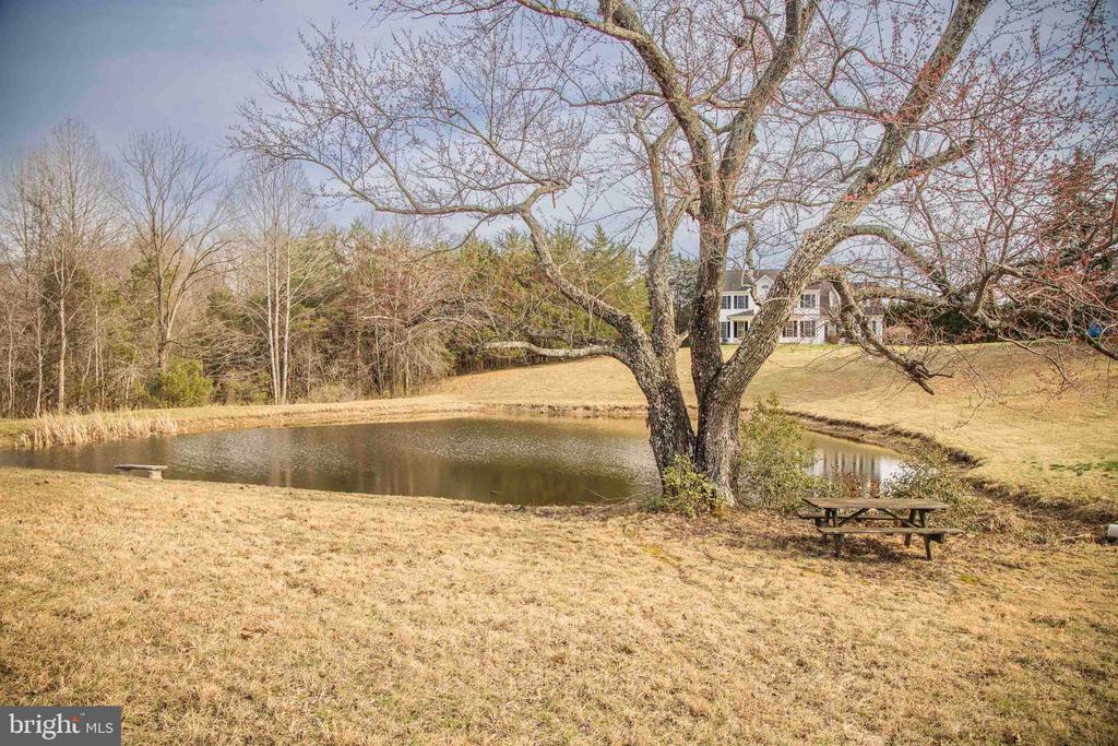 10497 BUCHANAN LN, CULPEPER, Virginia 22701, 4 Bedrooms Bedrooms, ,3 BathroomsBathrooms,Residential,10497 BUCHANAN LN,VACU2012110 MLS # VACU2012110