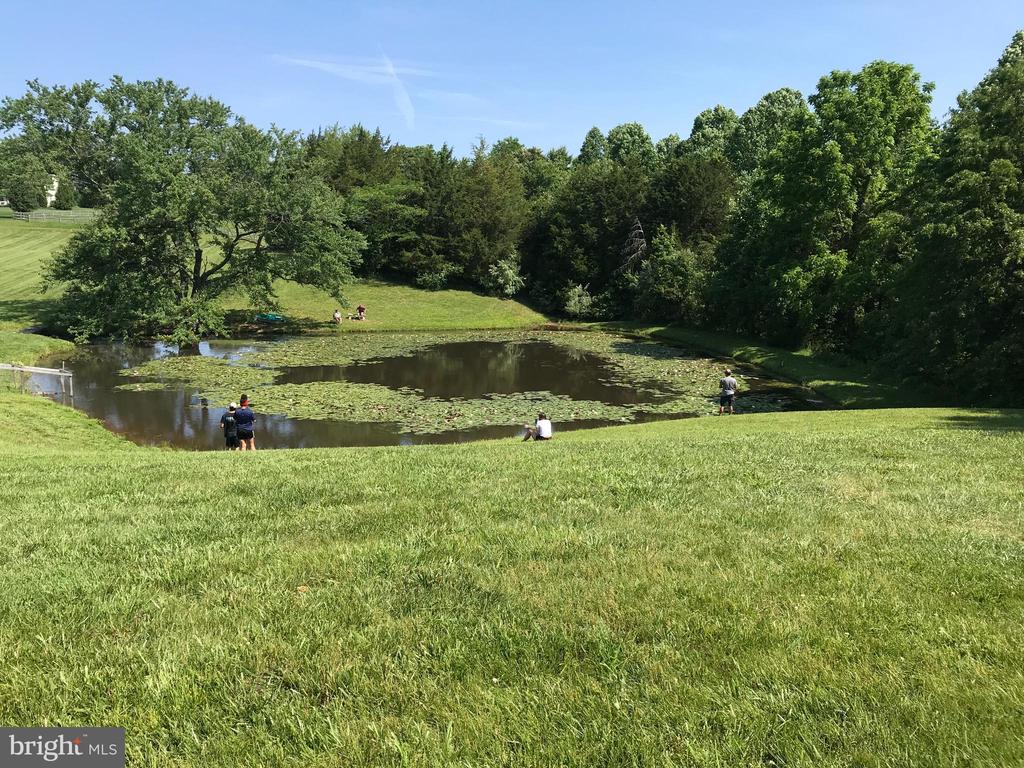 10497 BUCHANAN LN, CULPEPER, Virginia 22701, 4 Bedrooms Bedrooms, ,3 BathroomsBathrooms,Residential,10497 BUCHANAN LN,VACU2012110 MLS # VACU2012110