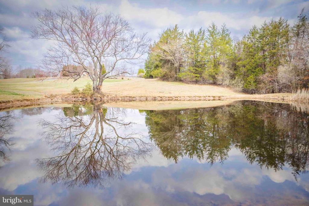 10497 BUCHANAN LN, CULPEPER, Virginia 22701, 4 Bedrooms Bedrooms, ,3 BathroomsBathrooms,Residential,10497 BUCHANAN LN,VACU2012110 MLS # VACU2012110