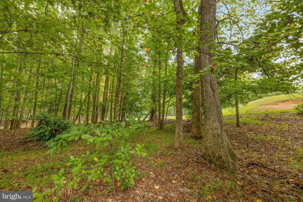 198 JEFFERSON DR, PALMYRA, Virginia 22963, 4 Bedrooms Bedrooms, ,3 BathroomsBathrooms,Residential,198 JEFFERSON DR,VAFN2000530 MLS # VAFN2000530