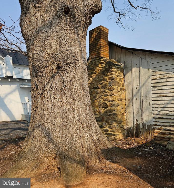 15660 REVA RD, REVA, Virginia 22735, 4 Bedrooms Bedrooms, ,2 BathroomsBathrooms,Residential,15660 REVA RD,VACU2012968 MLS # VACU2012968