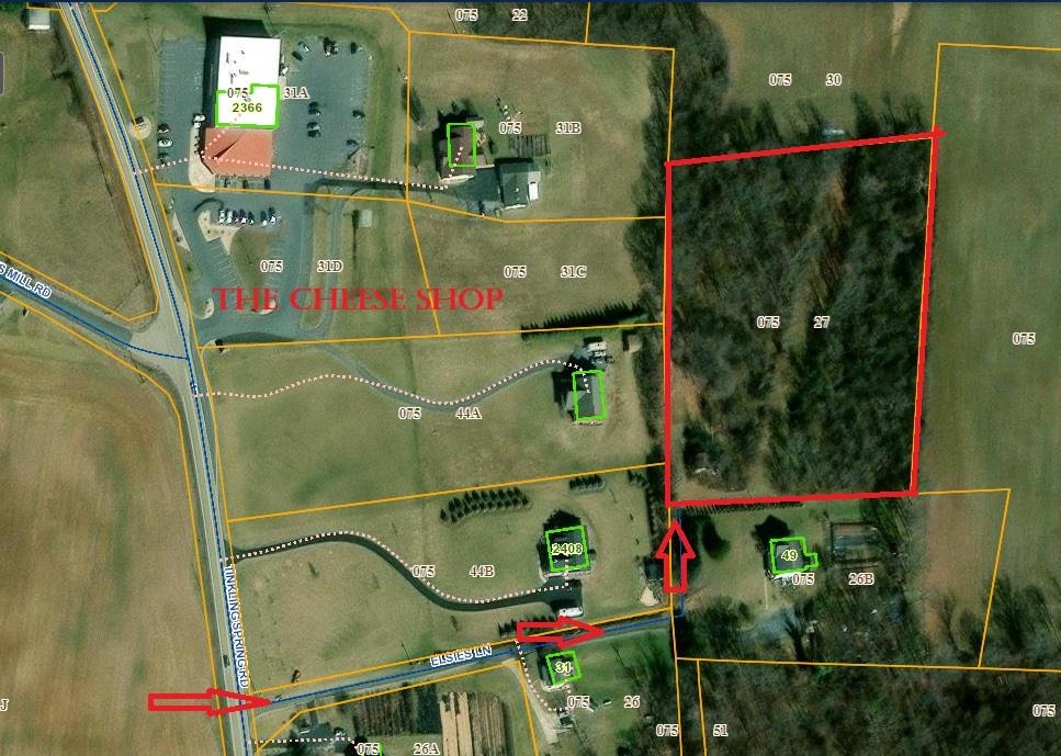 TBD TINKLING SPRING RD, STUARTS DRAFT, Virginia 24477, ,Land,TBD TINKLING SPRING RD,674365 MLS # 674365