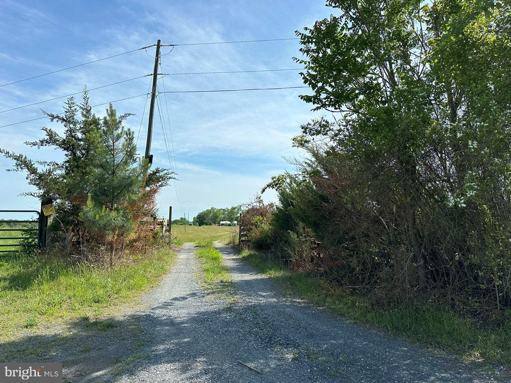 WEST RIVER ROAD (TRACT: JR C.B. MOON-2), SCOTTSVILLE, Virginia 24590, ,Farm,WEST RIVER ROAD (TRACT: JR C.B. MOON-2),VAFN2000638 MLS # VAFN2000638