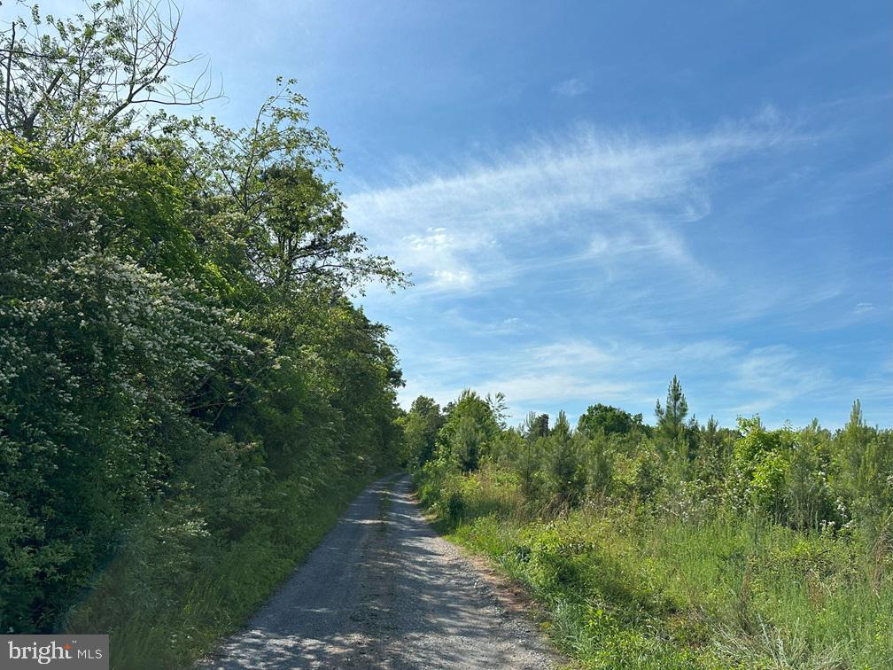 WEST RIVER ROAD (TRACT: JR C.B. MOON-2), SCOTTSVILLE, Virginia 24590, ,Farm,WEST RIVER ROAD (TRACT: JR C.B. MOON-2),VAFN2000638 MLS # VAFN2000638