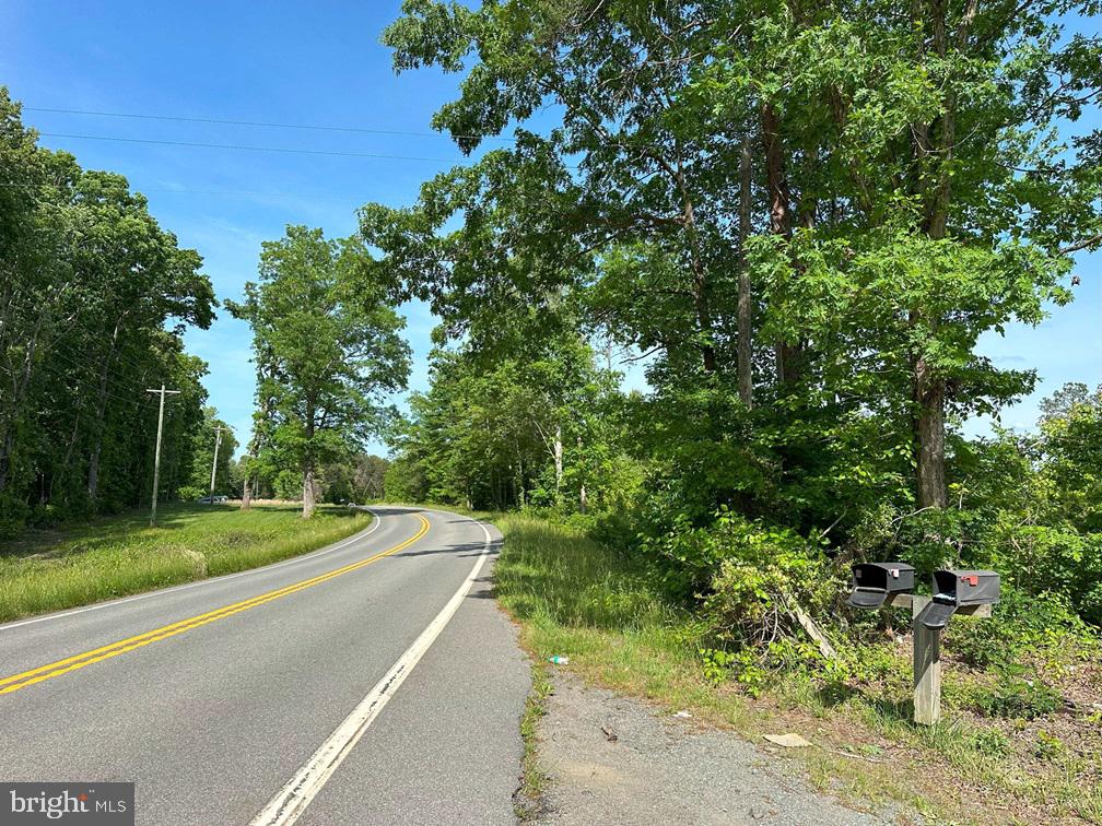 WEST RIVER ROAD (TRACT: JR C.B. MOON-2), SCOTTSVILLE, Virginia 24590, ,Farm,WEST RIVER ROAD (TRACT: JR C.B. MOON-2),VAFN2000638 MLS # VAFN2000638