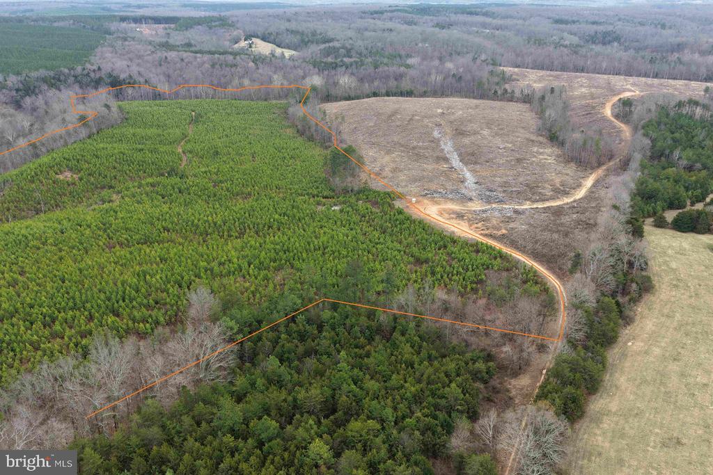 WEST RIVER ROAD (TRACT: JR C.B. MOON-2), SCOTTSVILLE, Virginia 24590, ,Farm,WEST RIVER ROAD (TRACT: JR C.B. MOON-2),VAFN2000638 MLS # VAFN2000638