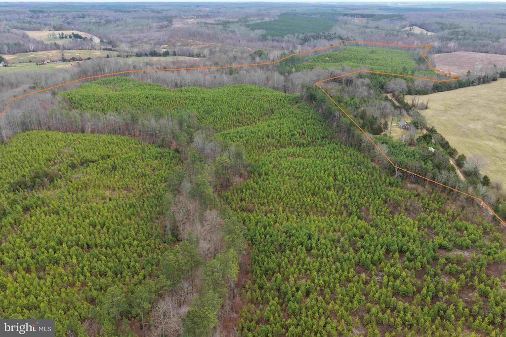 WEST RIVER ROAD (TRACT: JR C.B. MOON-2), SCOTTSVILLE, Virginia 24590, ,Farm,WEST RIVER ROAD (TRACT: JR C.B. MOON-2),VAFN2000638 MLS # VAFN2000638