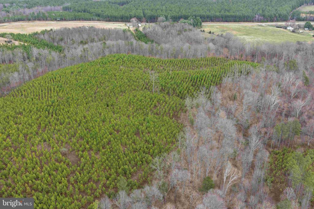 WEST RIVER ROAD (TRACT: JR C.B. MOON-2), SCOTTSVILLE, Virginia 24590, ,Farm,WEST RIVER ROAD (TRACT: JR C.B. MOON-2),VAFN2000638 MLS # VAFN2000638