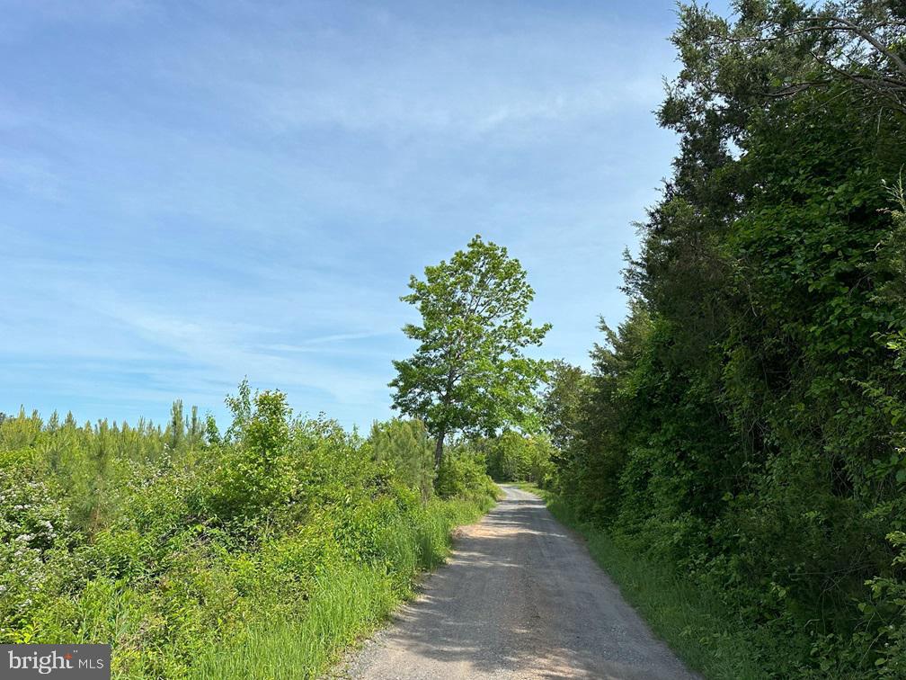 WEST RIVER ROAD (TRACT: JR C.B. MOON-2), SCOTTSVILLE, Virginia 24590, ,Farm,WEST RIVER ROAD (TRACT: JR C.B. MOON-2),VAFN2000638 MLS # VAFN2000638